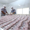 WB advises Vietnam on maximising benefits of EVFTA