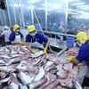 Seafood sector urged to diversify products