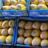 Cambodia to export 500,000 tonnes of mangoes to China annually