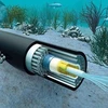 Viettel among investors of new high-speed under-sea cable ADC