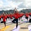 Int’l Yoga Day draws nearly 3,000 in Quang Ninh 