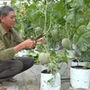 Dong Thap keen on switching to efficient irrigation