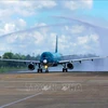 Vietnam Airlines launches three more domestic air routes 