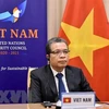 Vietnam backs Palestinians’ fight for justice: Deputy FM