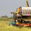 Thailand plans to recover agriculture