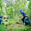 Vietnam ready to carry out REDD+