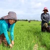 WB okays 93-mln-USD credit for Cambodia to improve land tenure security for poor farmers