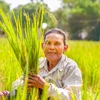 Cambodia encourages unemployed people to take up farming