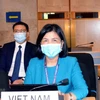 Vietnam prioritises child right protection: ambassador 