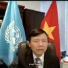 Vietnam joins UNSC open debate on peace operation, human rights