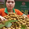 Son La province to export 9 million USD of longan