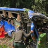 Five dead in coach crash in Kon Tum