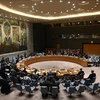 UNSC holds first in-person meeting after four months 