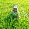 Thailand eyes green agriculture