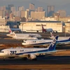 All Nippon Airways to resume Tokyo-HCM City route in August