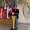  Vietnam’s entry into ASEAN opens new chapter in Southeast Asia relations: Ambassador