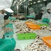 Squid, octopus exports bounce back in June
