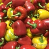 RoK to export paprika to Vietnam