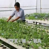 Tien Giang enjoys fruitful agricultural restructuring