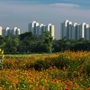 More regulations for developing green cities