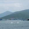 Khanh Hoa to build new road linked to Van Phong trans-shipment port