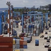 Indonesia export-import revenue plummets in July