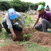 Ninh Thuan promotes measures to expand forest coverage