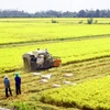 Rice exporters urged to promote brand through safe production 