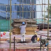 Cambodia considers allowing more foreign workers