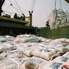 Agro-forestry-fishery enjoys 6.2 billion USD trade surplus