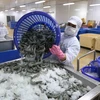 Vietnam’s shrimp export to RoK sees positive growth 