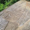 More ancient slabs with engravings of terraced fields found in Yen Bai