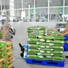 Vietnamese rice takes bite out of global market