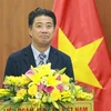 Vietnam Football Federation has new technical director