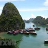 Quang Ninh cuts sight-seeing fees till year’s end