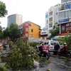 Red Cross increases emergency stockpiles in response to Typhoon Noul