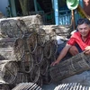 Mekong Delta farmers wait for floodwaters