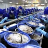 Bright prospects for fisheries sector in final quarter