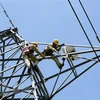 Power transmission grid should be developed: insiders