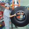 Vietnam Rubber Group to expand tyre production via M&A