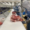 Masan MEATLife opens 77.6m USD meat processing complex 