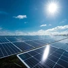 Renewable energy firms rush to issue bonds