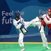 RoK supports Vietnam in developing Taekwondo