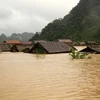 Central steering committee urges continued actions in response to floods in central region