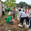Campaign to green up Hanoi with 4,000 trees