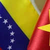 Venezuela-Vietnam Friendship Association debuts 