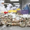 Minh Phu opposes US anti-dumping duty on frozen shrimp