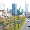 HCM City speeds up sub-projects for smart city development