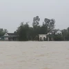 Storms, floods cause economic loss of over 730 million USD: Gov’t report 