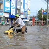 Vietnam to use carbon-pricing tools in effort to cut greenhouse gas emissions